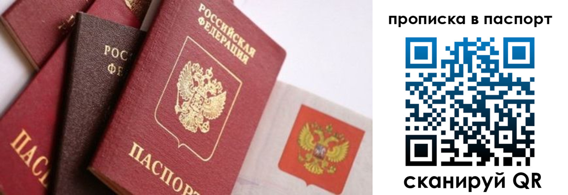 прописка штамп в Юрьев-Польском